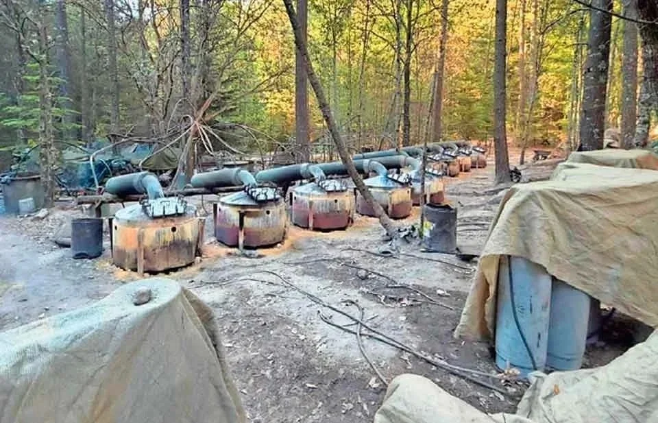 Continúa destrucción de campamento en El Pinal