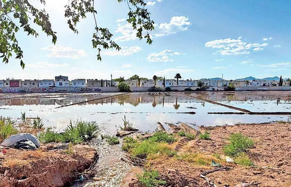 Entrega EU 13.1 mm de agua a Juárez