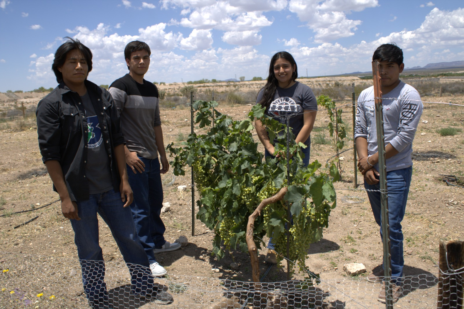 UTCam fortalece la formación práctica de sus estudiantes con proyecto vitivinícola experimental