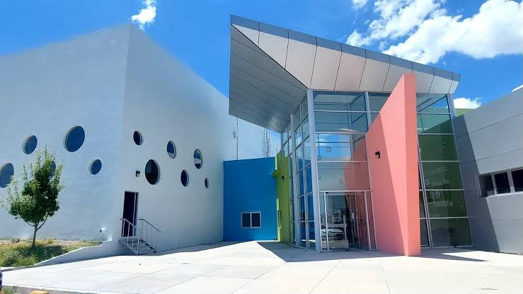 Abren inscripciones para taller de piñatas y flores eternas en Camargo