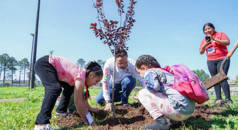 Buscan reforestar Guachochi con 150 mil árboles; iniciaron con 300