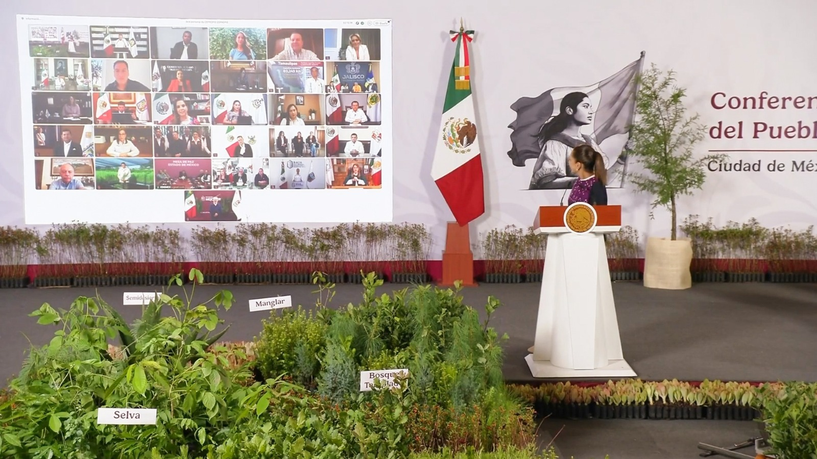 Chihuahua participará en Jornada Nacional de Reforestación 2026