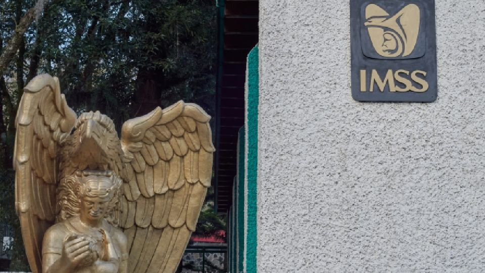 Niña de 11 años interrumpe su embarazo tras abuso sexual en Tamaulipas