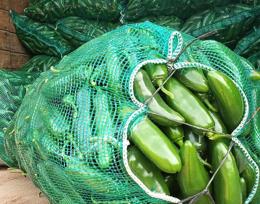 Se llevan 30 arpillas de chile de un rancho; robo representa pérdidas de unos 20 mil pesos