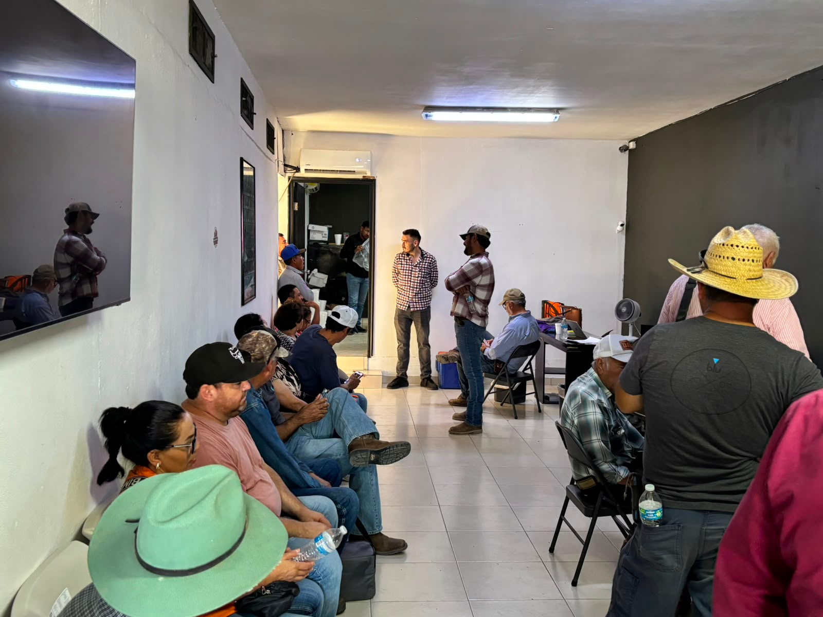 Refuerzan combate a plagas del nogal con liberación de insectos benéficos
