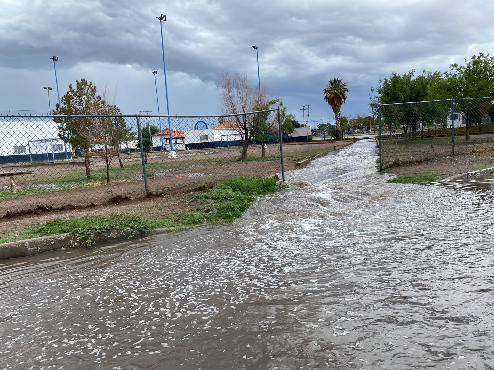 Arroyos despejados permiten el flujo del agua y mantienen a Camargo sin reportes de inundaciones
