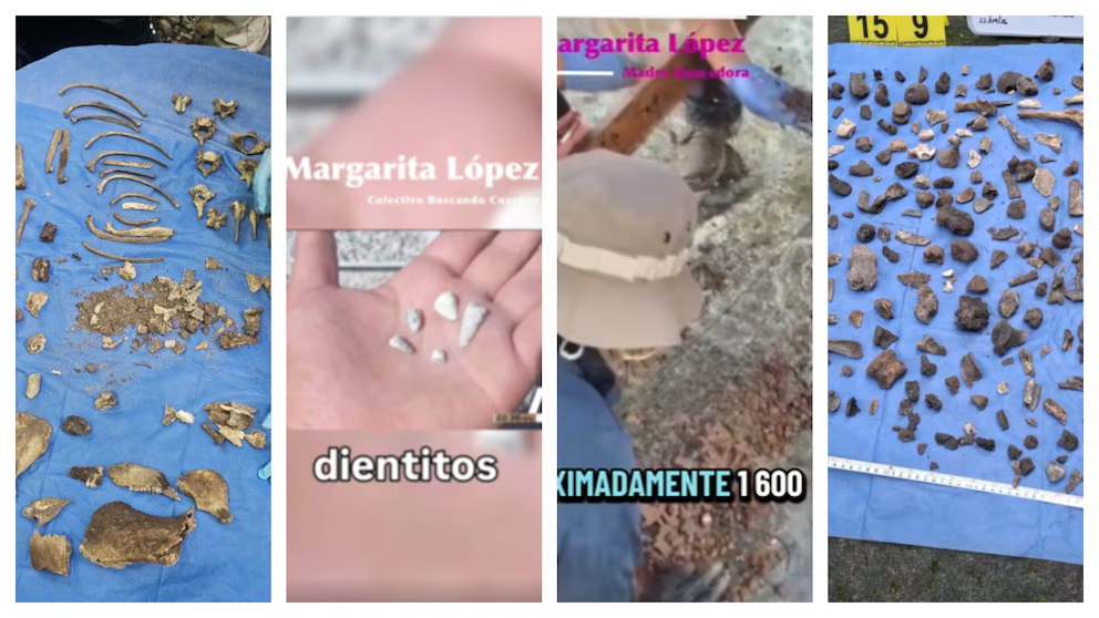 Mil 600 dientes de leche: la fosa clandestina de Michoacán que cimbró hasta en el Senado