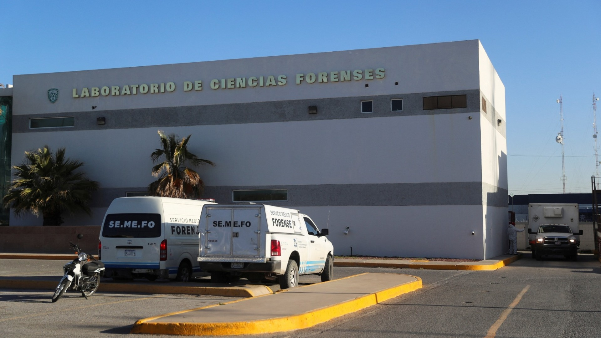 131 bebés y niños permanecen sin identificar en el Semefo de Ciudad Juárez